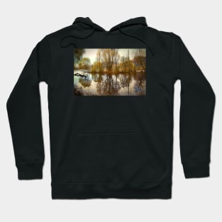 Trees on an Island Hoodie